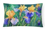 State Watercolor Flowers Throw Pillow Throw Pillow for Indoor Couch Bed Outdoor Patio Washable, Tennessee Iris 1706,12Hx16W