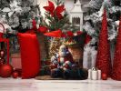 NEW English Bull Terrier and Santa Claus Throw Pillow Machine Washable, Indoor Outdoor Decorative Pillow for Couch, Bed or Patio, 14Hx14W