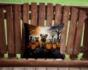 Norfolk Terrier Spooky Halloween Throw Pillow Machine Washable, Indoor Outdoor Decorative Pillow for Couch, Bed or Patio, 14Hx14W