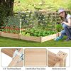 Raised Garden Bed with 2 Planter Boxes and 3 Trellis